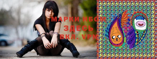 ешки Арсеньев