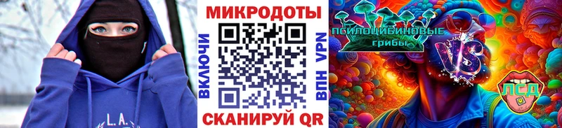 Псилоцибиновые грибы прущие грибы  Балтийск 