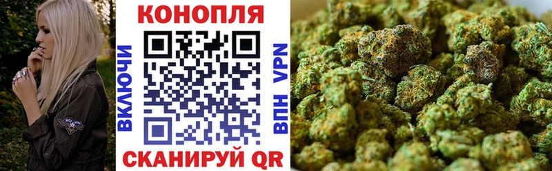 где можно купить наркотик  Балтийск  Конопля гибрид 